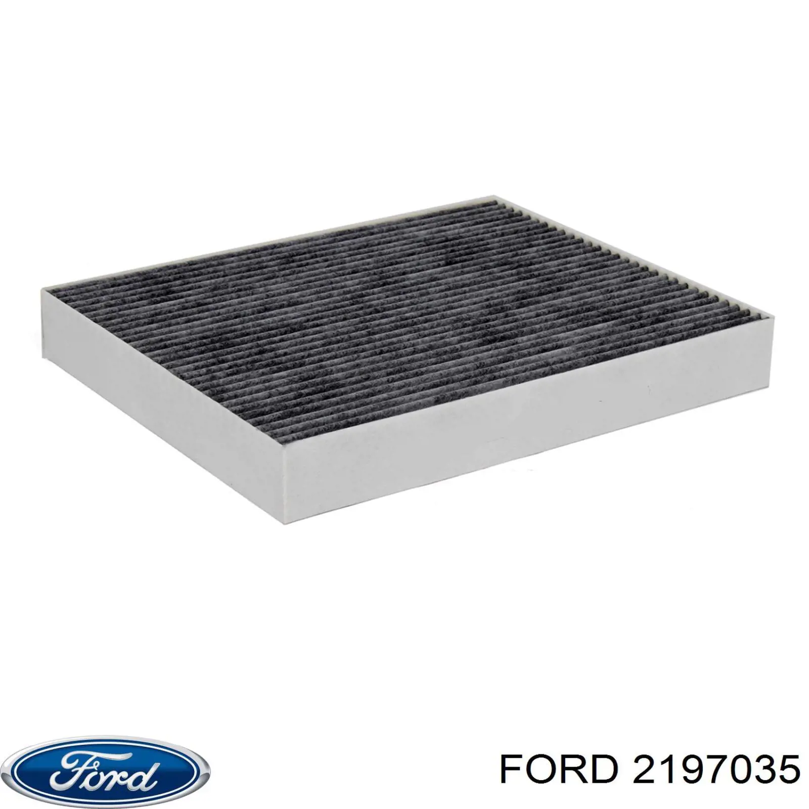 2197035 Ford Filtr kabiny