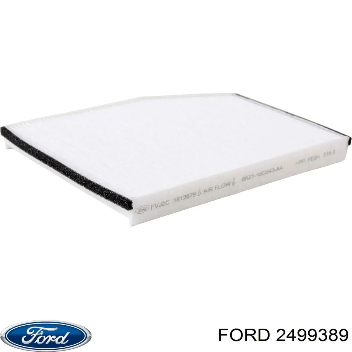 2499389 Ford Filtr paliwa