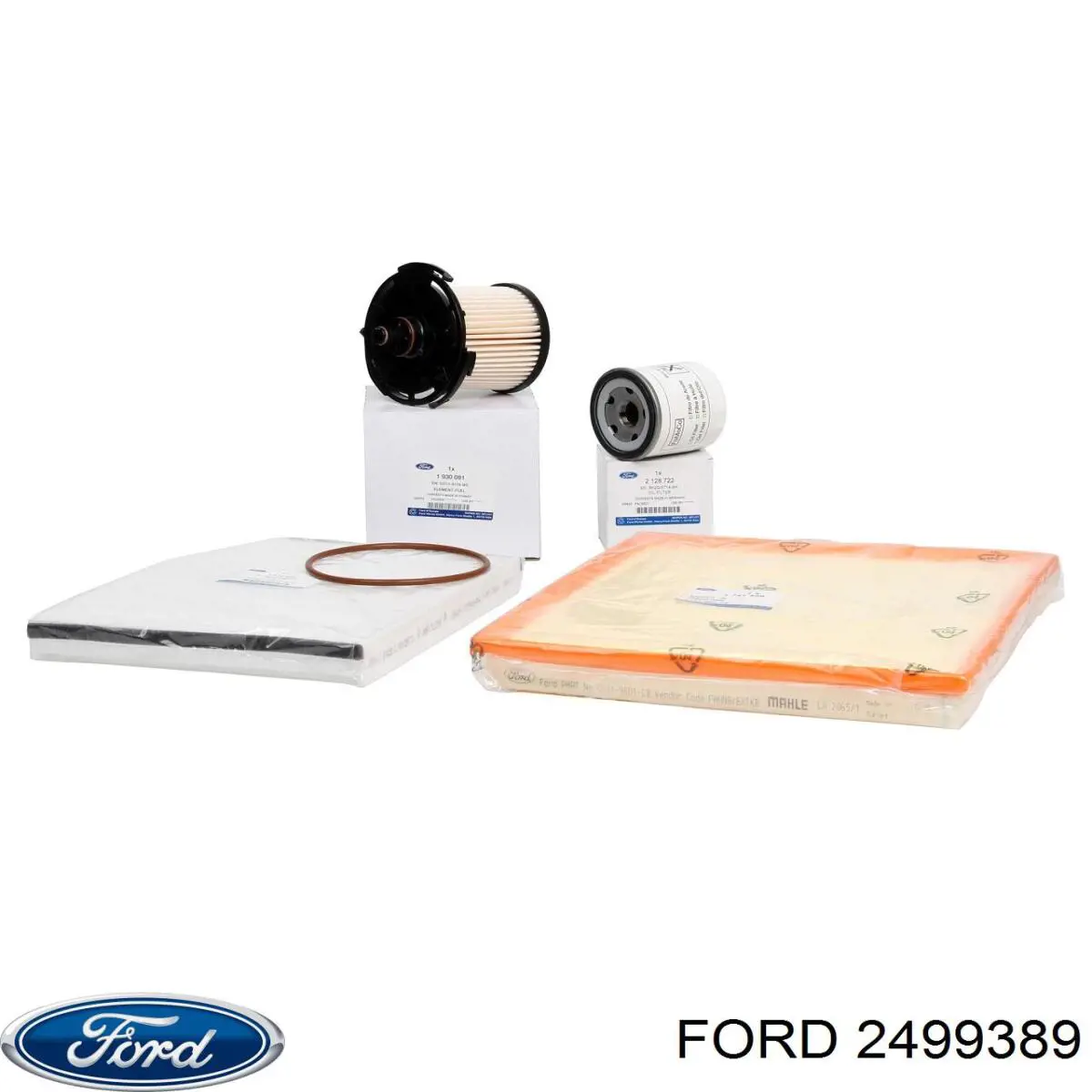 Do koszyka 2499389 Ford Filtr paliwa