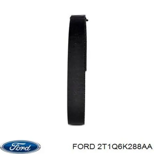 Do koszyka 2T1Q6K288AA Ford Pasek rozrządu