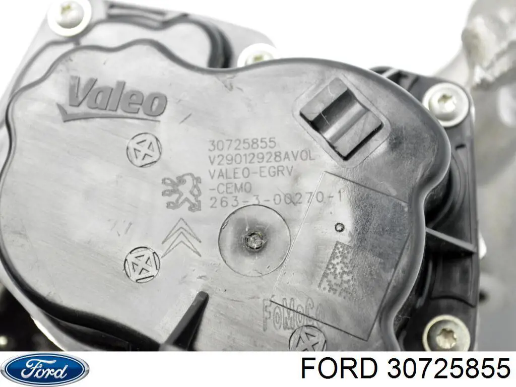 30725855 Ford 
