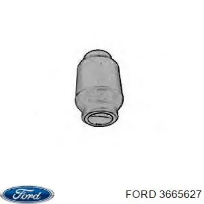 3665627 Ford Silentblock przedniego wahacza górnego