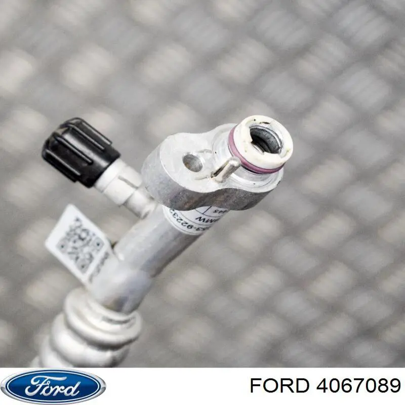 Do koszyka 4041431 Ford Kołpak do obręczy koła