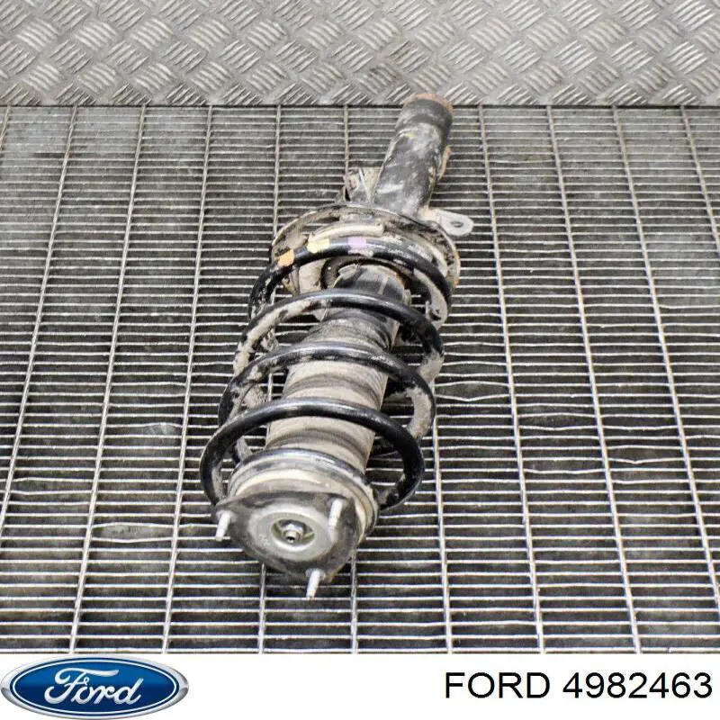 Do koszyka 4982463 Ford Lusterko wszteczne