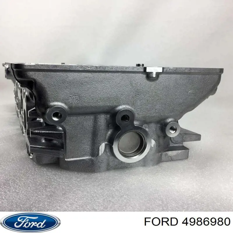 Do koszyka 4986980 Ford Głowica cylindrów