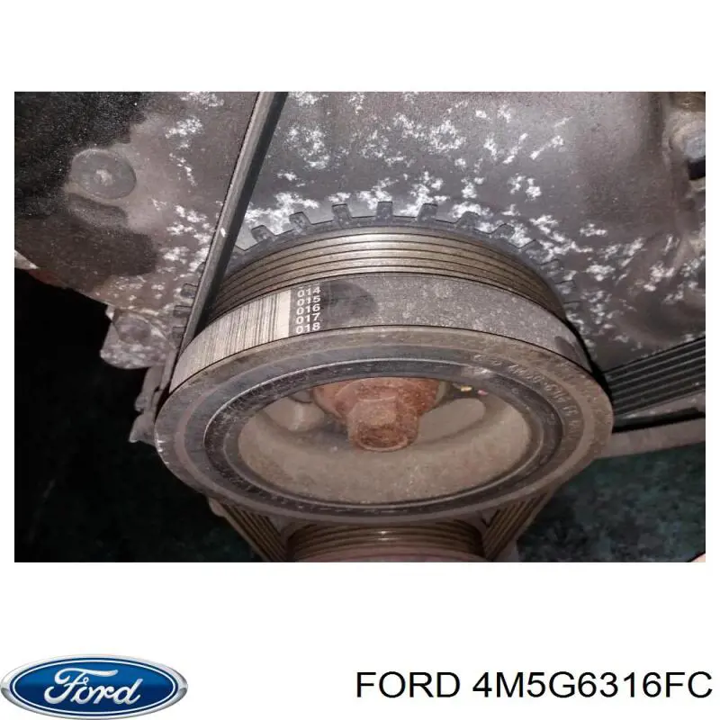 Koło pasowe wału korbowego Ford 4M5G6316FC cena, od 83,43 USD