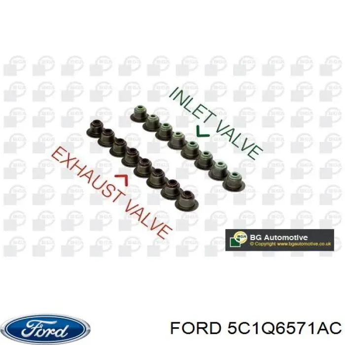 5C1Q6571AC Ford Uszczelniacz zaworu dolotowego/wylotowego