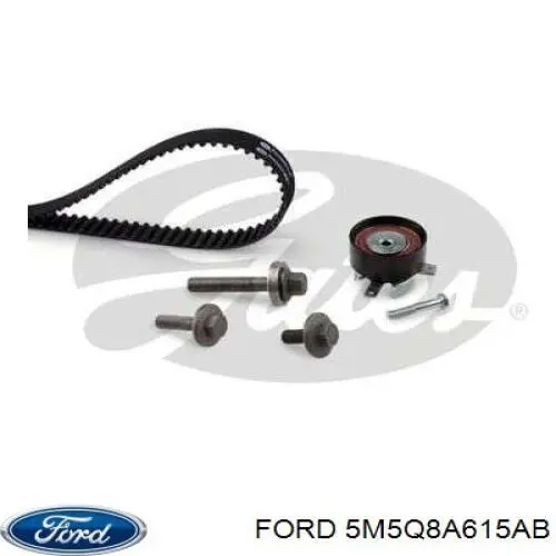 Pasek rozrządu, zestaw 5M5Q8A615AB Ford