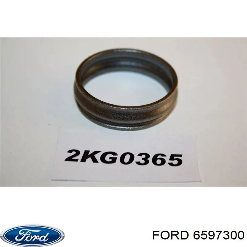 6597300 Ford Uszczelniacz końcówki reduktora mostu tylnego