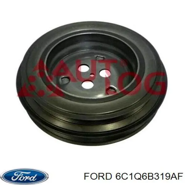 6C1Q6B319AF Ford Koło pasowe wału korbowego
