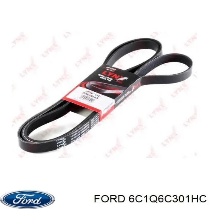 Pas napędowy mechanizmów Ford 6C1Q6C301HC cena, od 25,42 USD