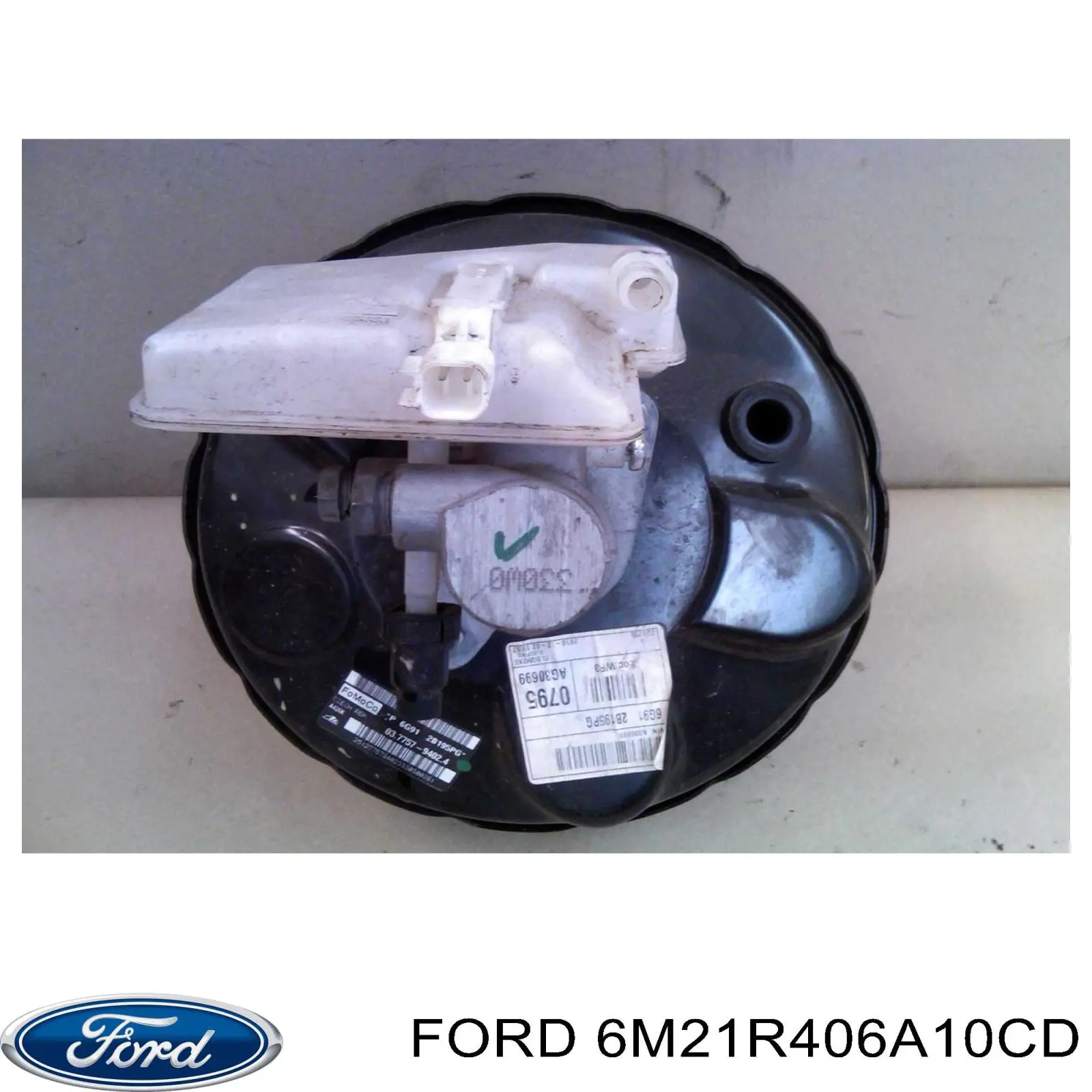 6M21R406A10CD Ford Amortyzator klapy bagażnika (3/5 drzwi-tylnych)