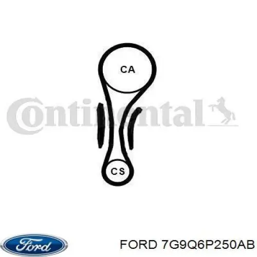 Pasek rozrządu, zestaw Ford 7G9Q6P250AB cena, od 214,62 USD