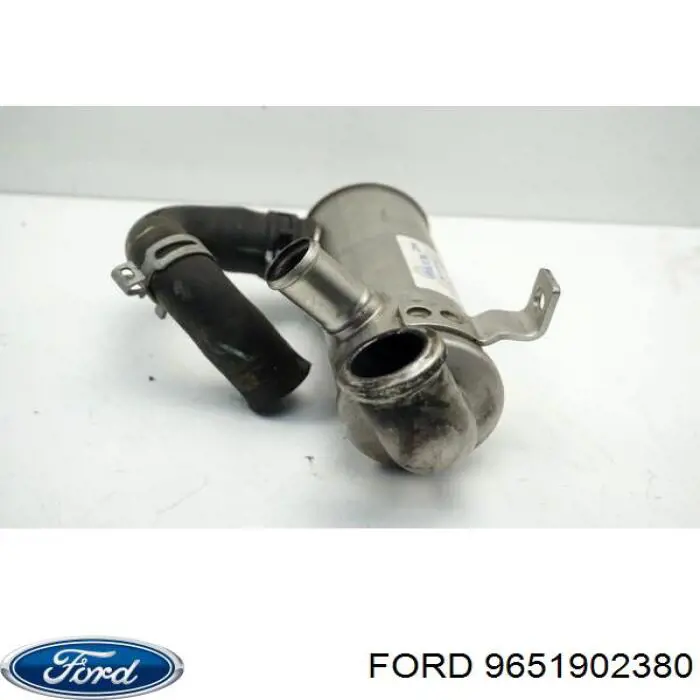 Do koszyka 9651902380 Ford Chłodnica układu recyrkulacji spalin EGR