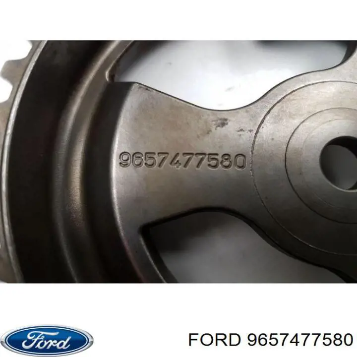 Do koszyka 9657477580 Ford Koło zębatewalcowe wałka rozrządu silnika