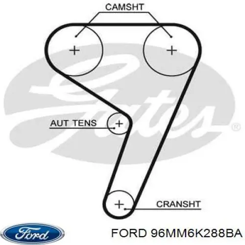 Do koszyka 96MM6K288BA Ford Pasek rozrządu