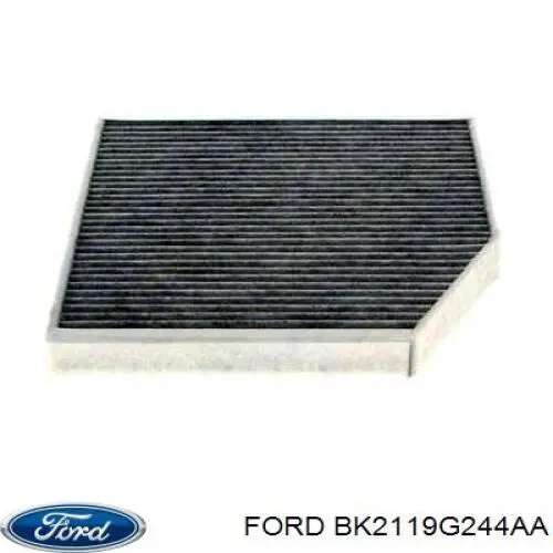 BK2119G244AA Ford Filtr kabiny