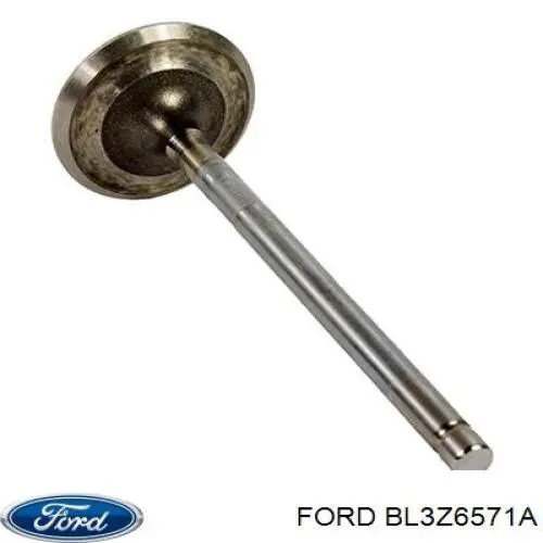 Uszczelniacz zaworu dolotowego/wylotowego Ford BL3Z6571A cena, od 5,64 USD