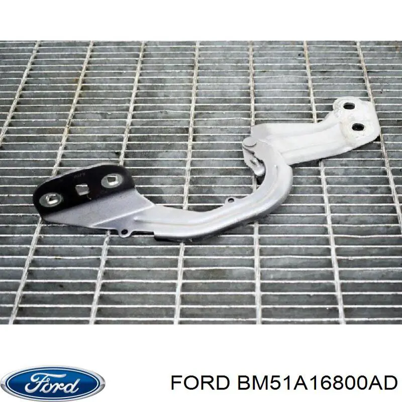 Zawias maski prawy Ford BM51A16800AD cena, od 31,61 USD