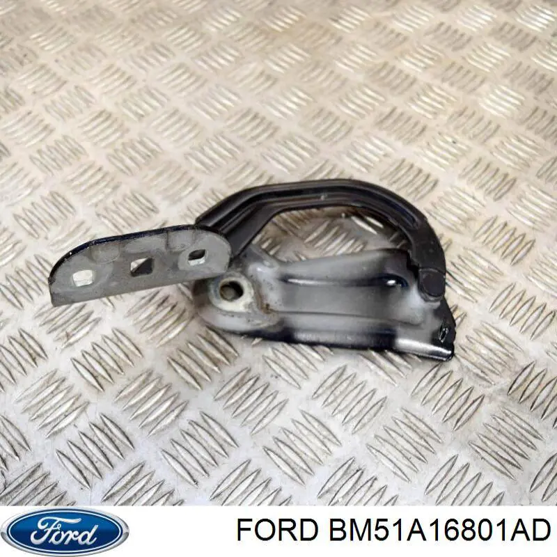 Zawias maski lewy Ford BM51A16801AD cena, od 28,71 USD