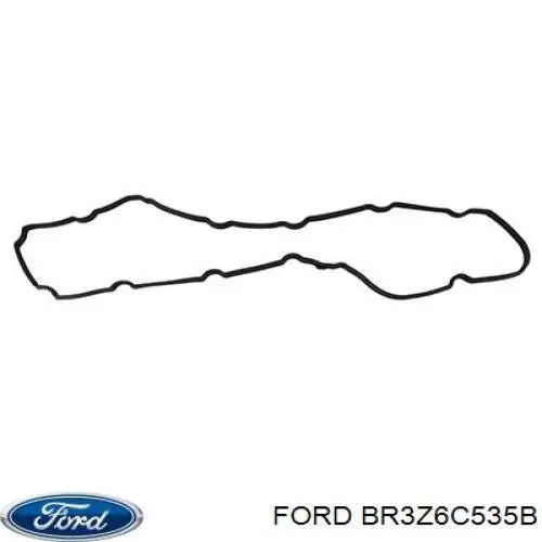 Do koszyka BR3E6P251BA Ford Pierścień uszczelniający gniazda świecy