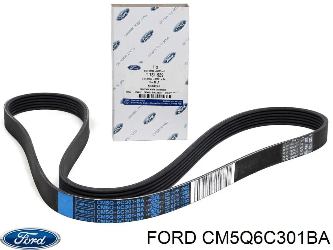 Pas napędowy mechanizmów Ford CM5Q6C301BA cena, od 19,60 USD