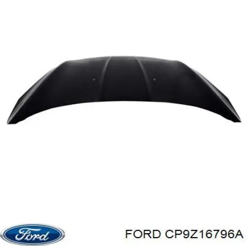 Do koszyka CP9Z16796A Ford Zawias maski prawy