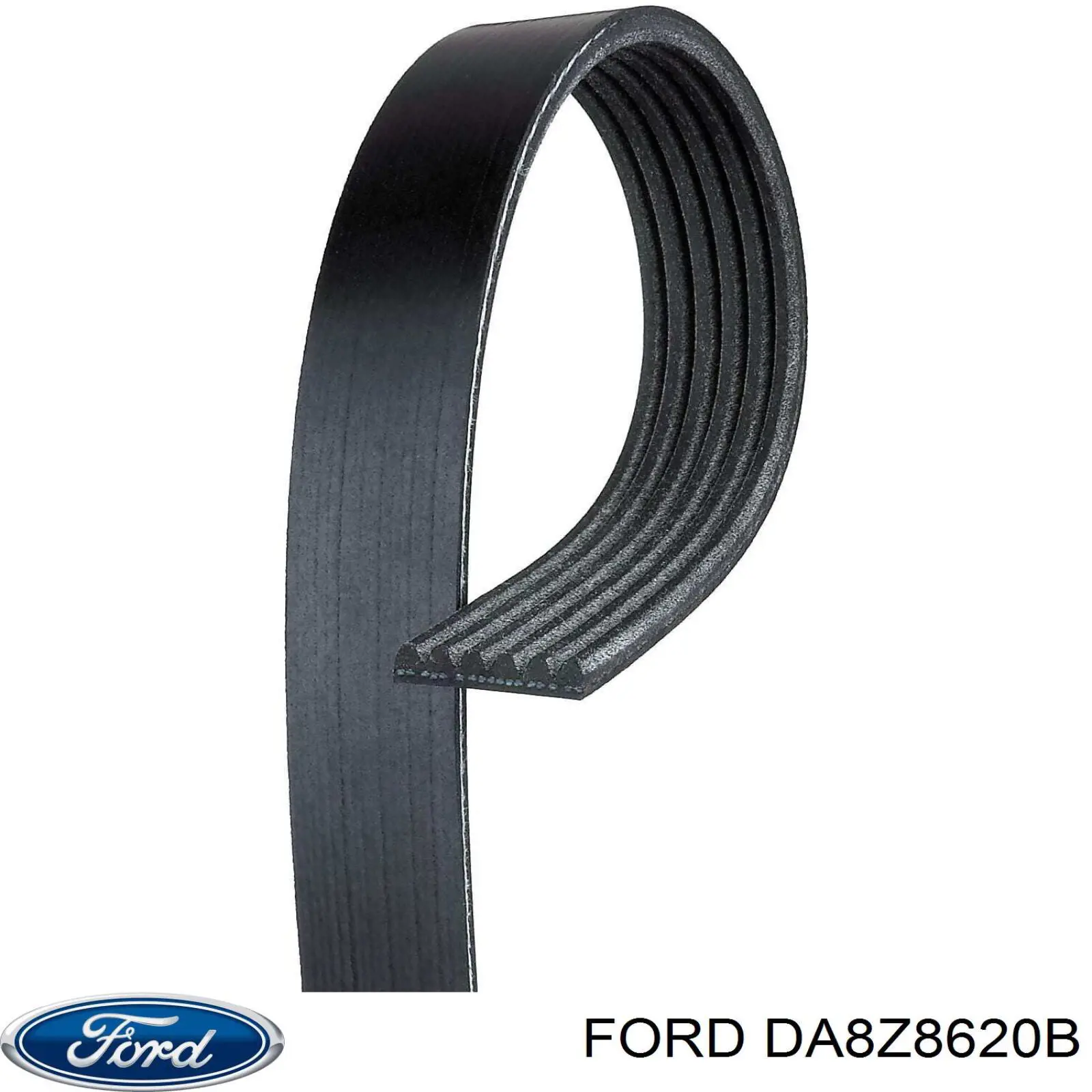 DA8Z8620B Ford pas napędowy mechanizmów