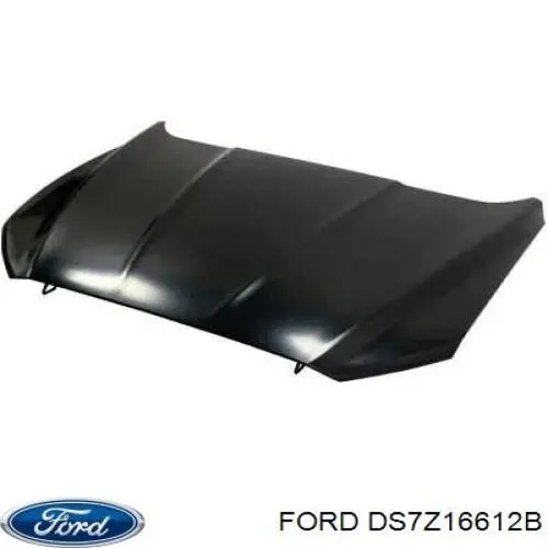 Maska silnika Ford DS7Z16612B cena, od 580,45 USD