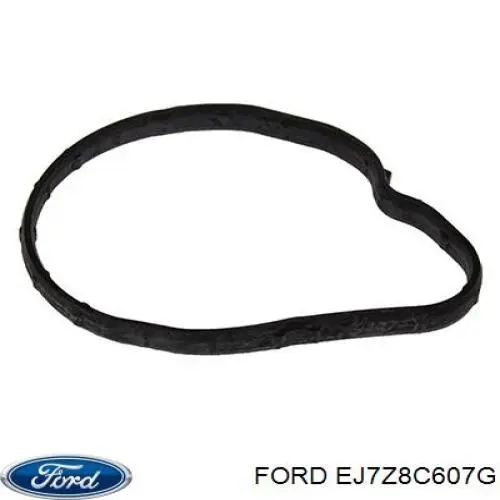 EJ7Z8C607G Ford Dyfuzor chłodnicy, w komplecie z silnikiem i wirnikiem