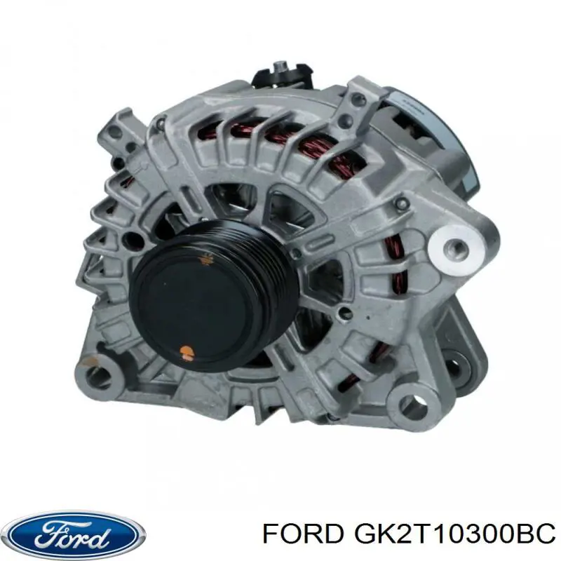 Do koszyka RMGK2T10300BC Ford Alternator