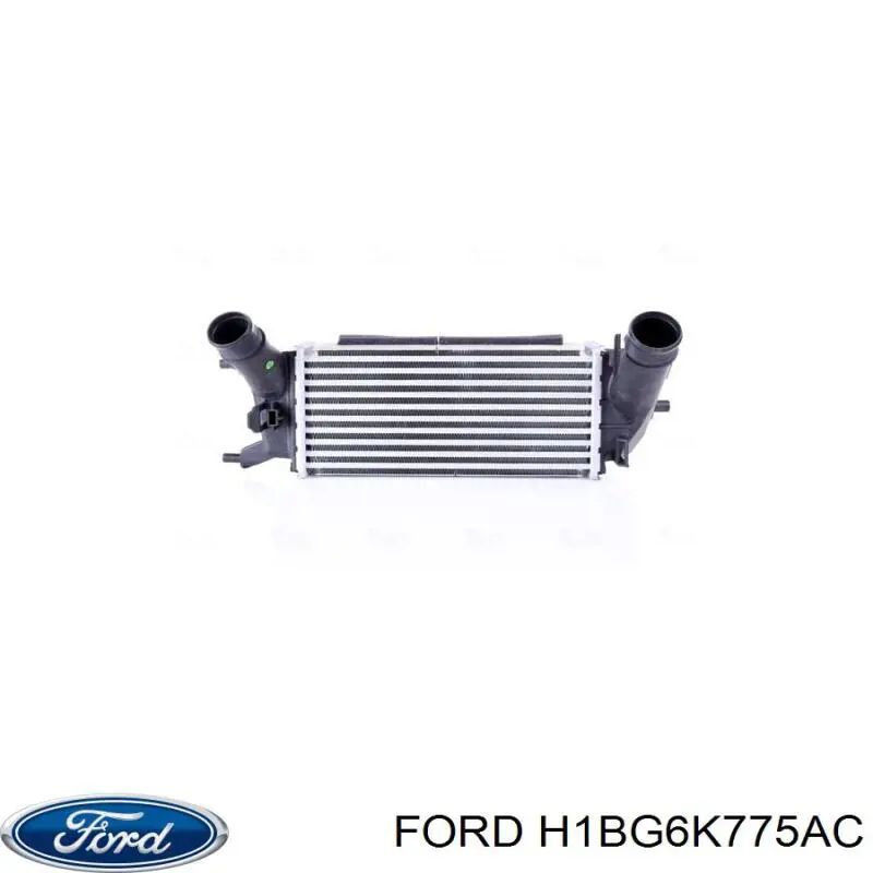 H1BG6K775AC Ford Chłodnica intercoolera