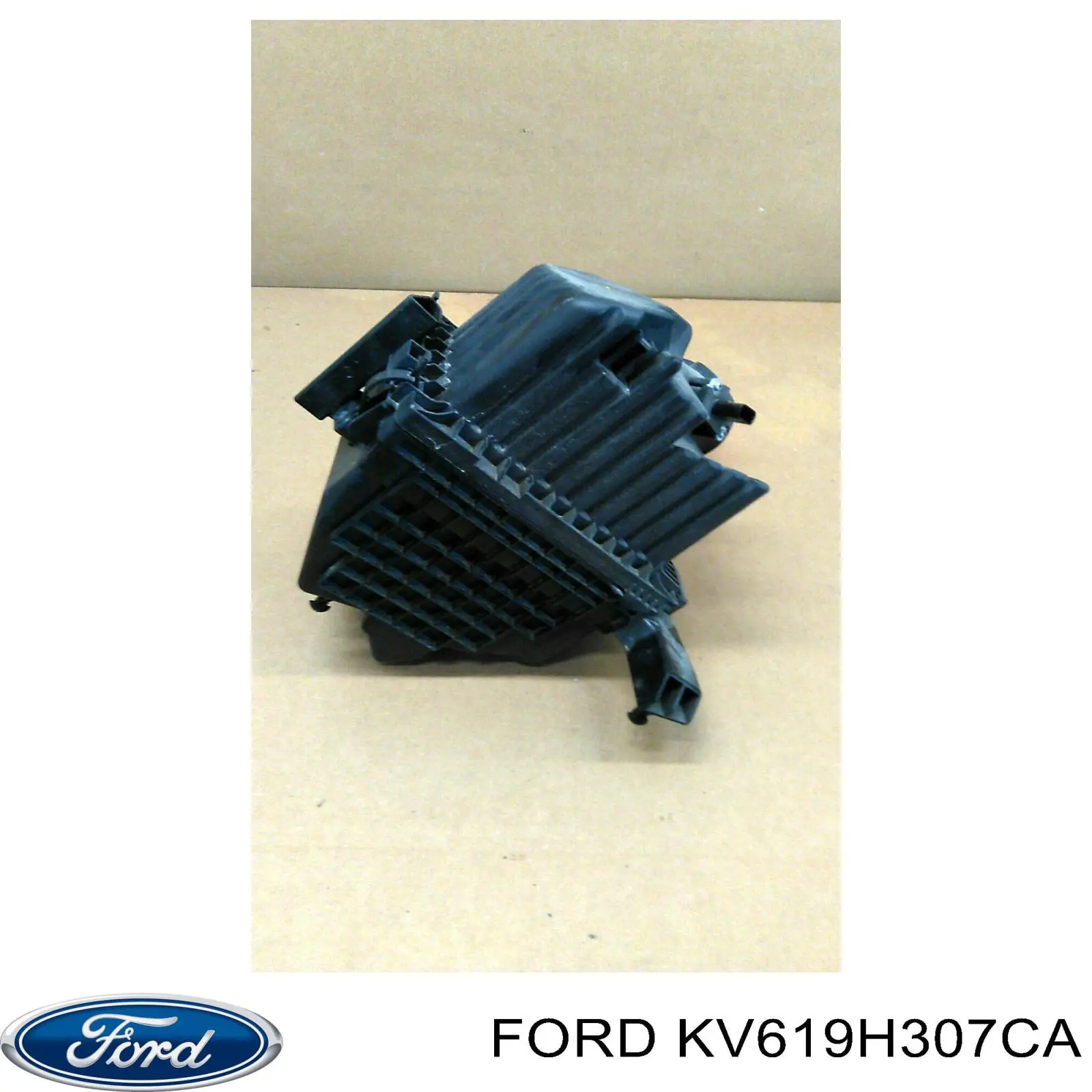 Moduł pompy paliwowej z czujnikiem poziomu paliwa KV619H307CA Ford