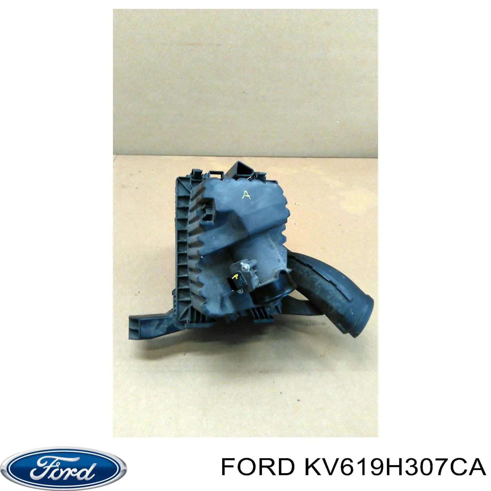 Moduł pompy paliwowej z czujnikiem poziomu paliwa Ford KV619H307CA cena, od 125,99 USD