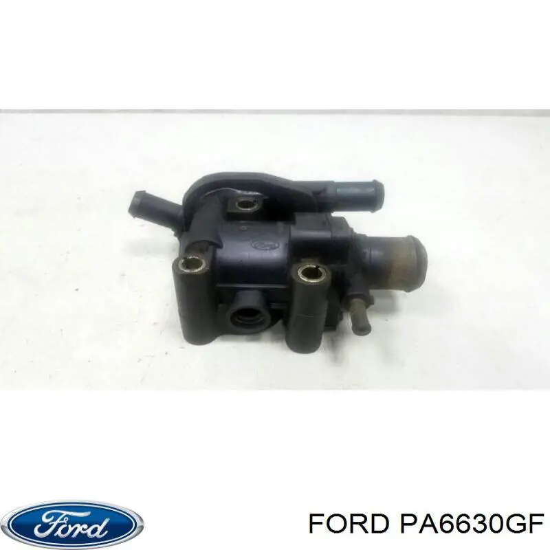 PA6630GF VAG 