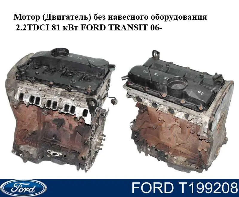T199208 Ford Napinacz łańcucha rozrządu
