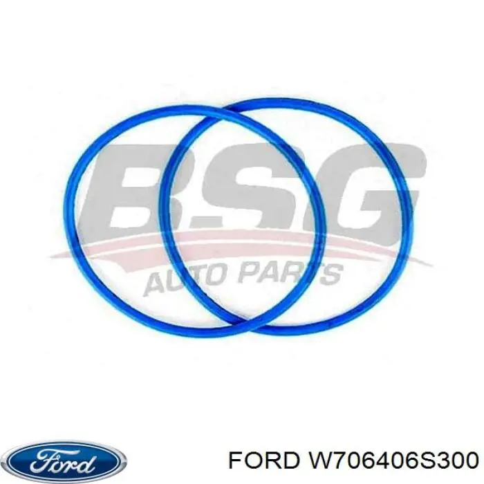 Sprzęgło wiskotyczne wentylatora chłodzenia Ford W706406S300 cena, od 3,01 USD