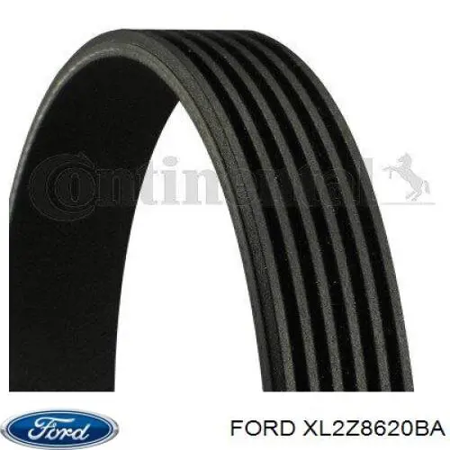 Pas napędowy mechanizmów Ford XL2Z8620BA cena, od 22,19 USD