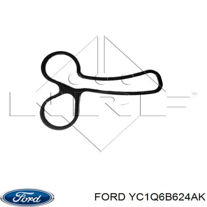 YC1Q6B624AK Ford Obudowa filtra oleju