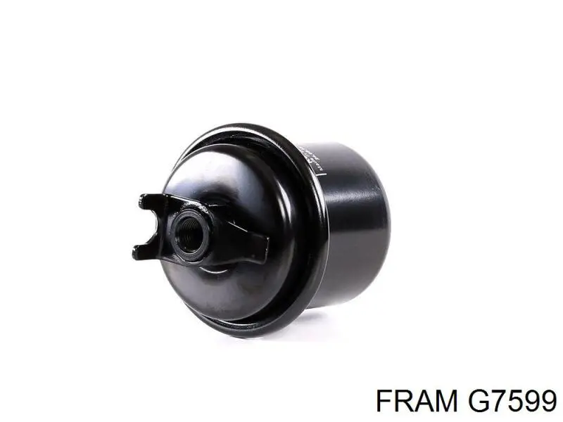 Filtr paliwa Fram G7599 cena, od 10,97 USD