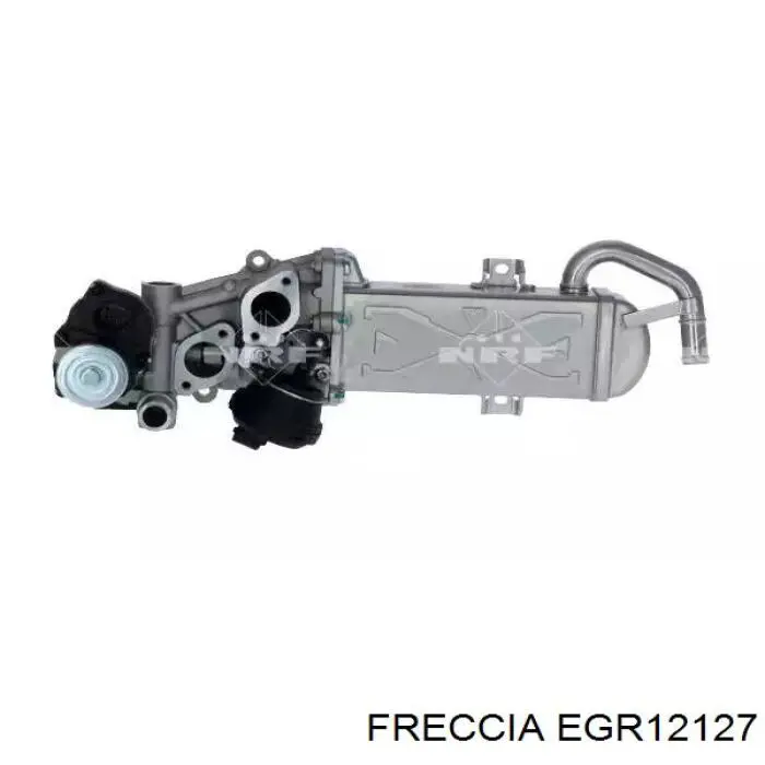 EGR12127 Freccia Chłodnica układu recyrkulacji spalin EGR