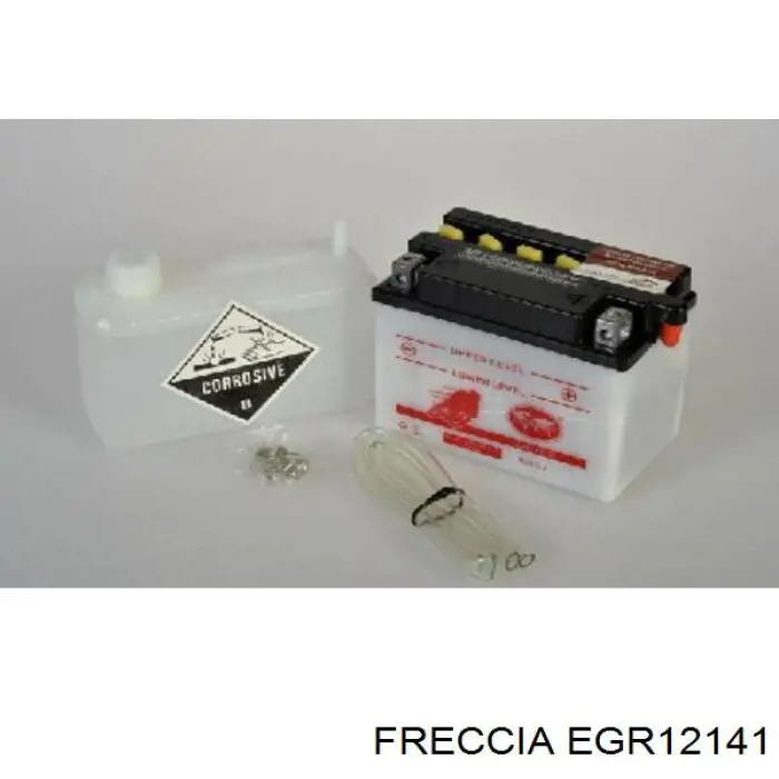 Do koszyka 147102974R Renault (RVI) Zawór recyrkulacji spalin EGR