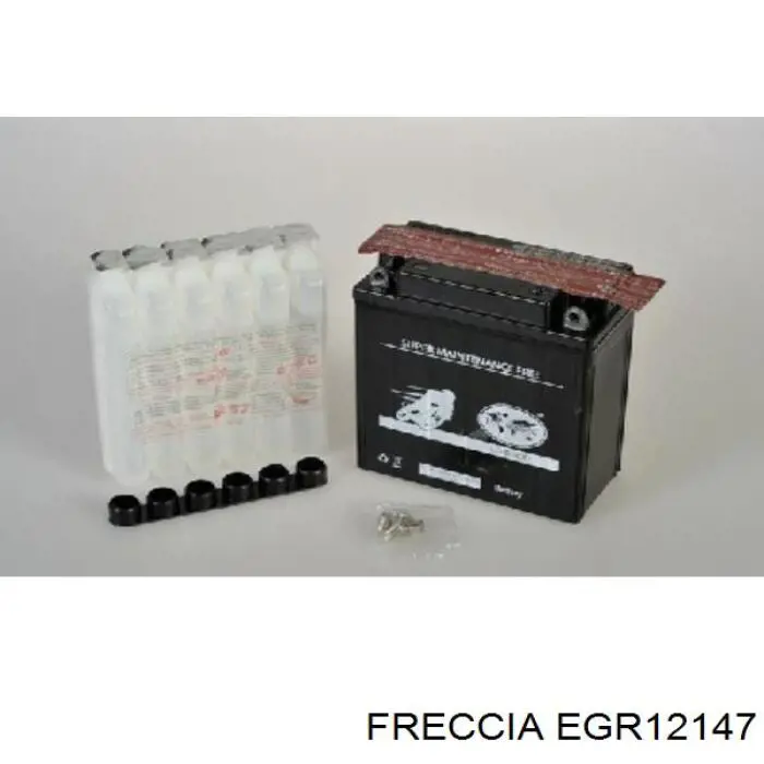 Zawór recyrkulacji spalin EGR Freccia EGR12147 cena, od 70,16 USD