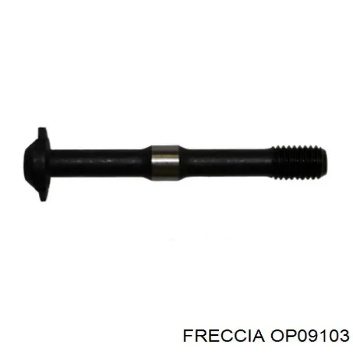 Do koszyka OP09103 Freccia Pompa oleju