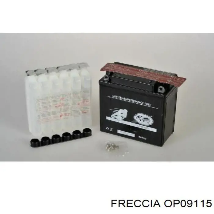 Do koszyka OP09115 Freccia Pompa oleju