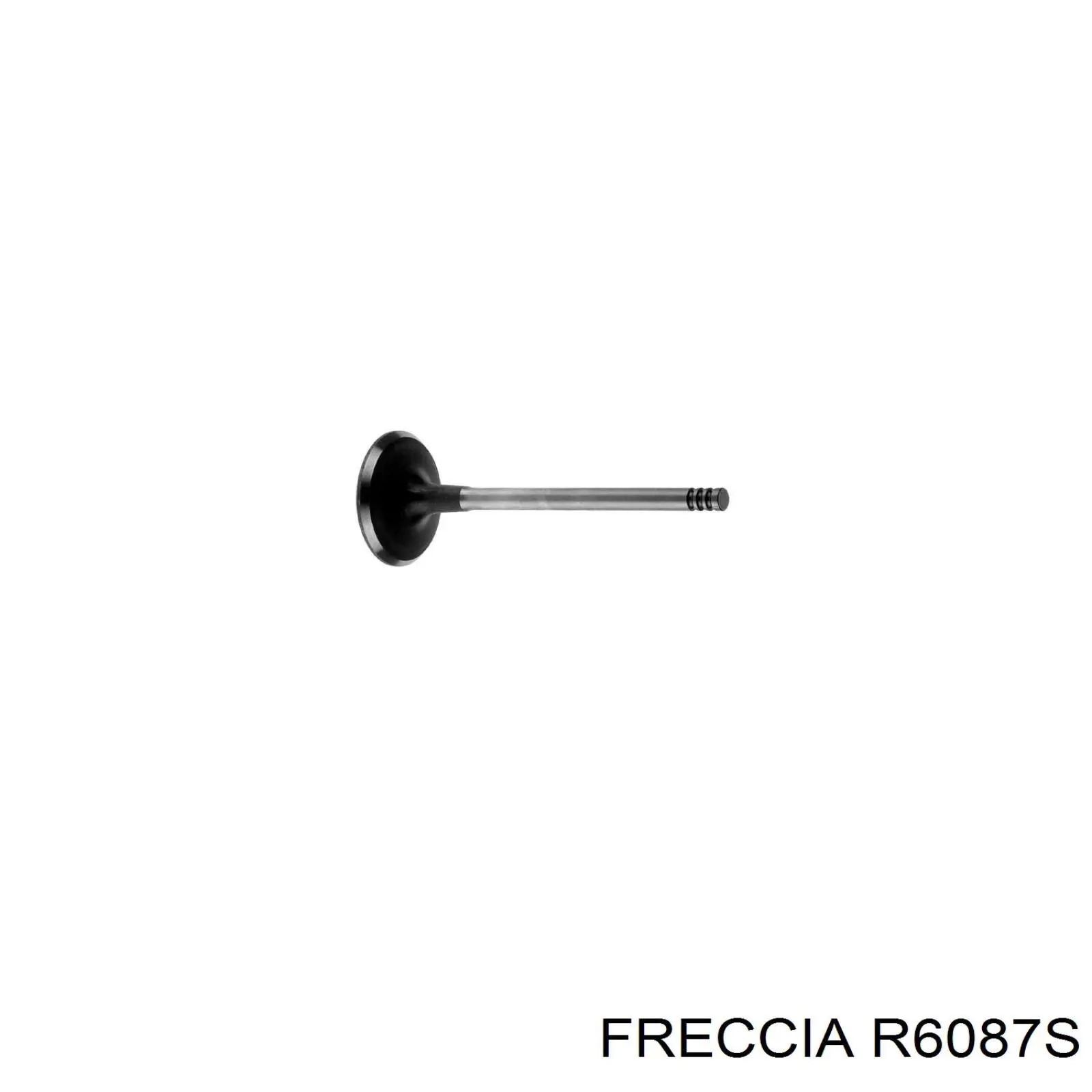 6087 Freccia Zawór dolotowy/ssący