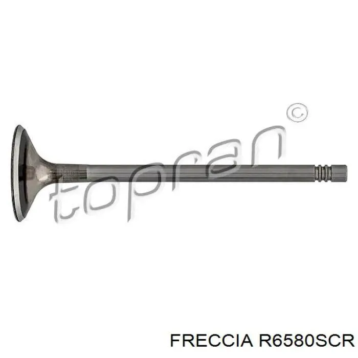 Zawór dolotowy/ssący Freccia R6580SCR cena, od 12,43 USD