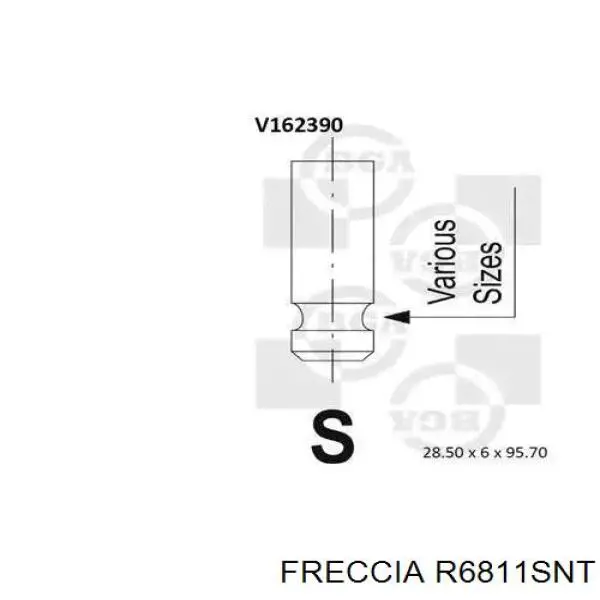 R6811SNT Freccia zawór dolotowy/ssący