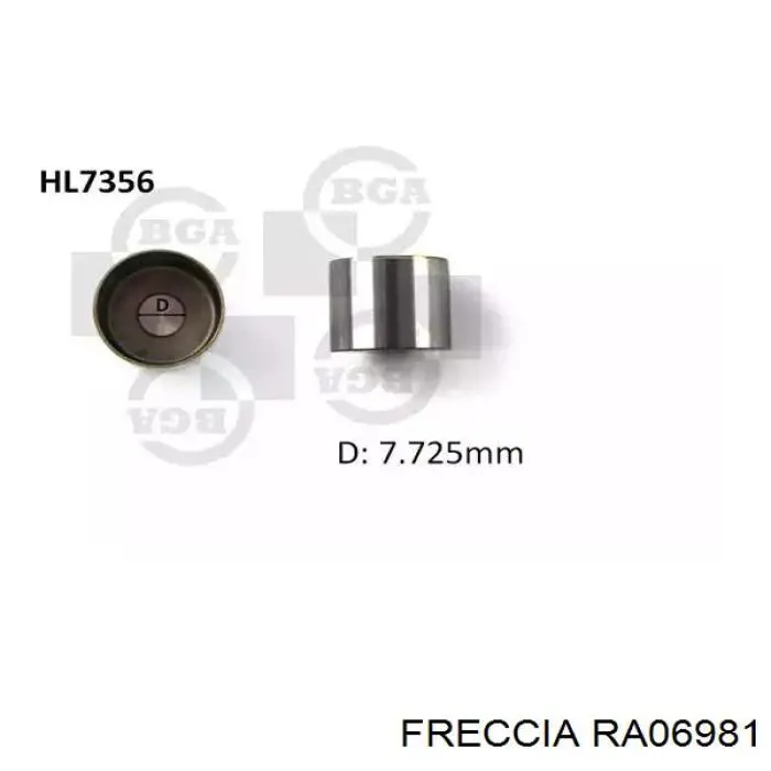  Freccia RA06981