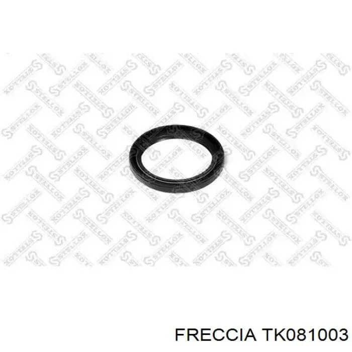 Łańcuch rozrządu, zestaw Freccia TK081003 cena, od 157,95 USD